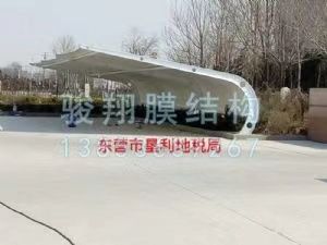東營市墾利地稅局